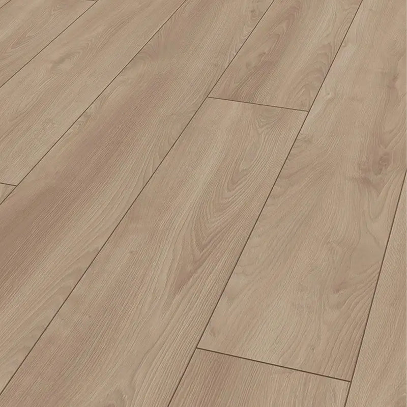 Laminatgulv lys eg