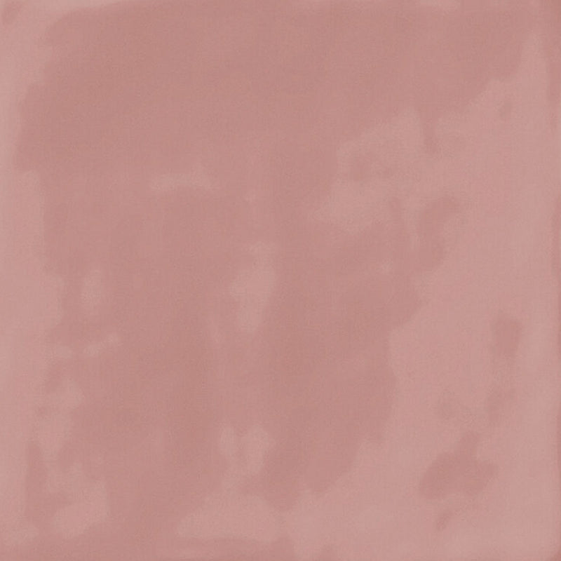 Switch Coral | Fliseprøve